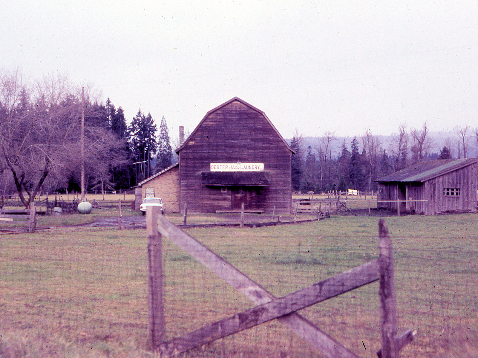 Oregon, Lane County, Dexter