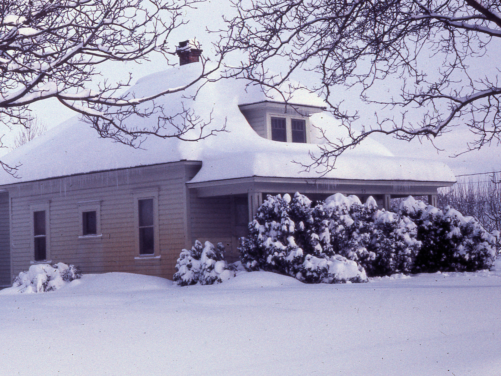 Oregon, Lane County, Eugene