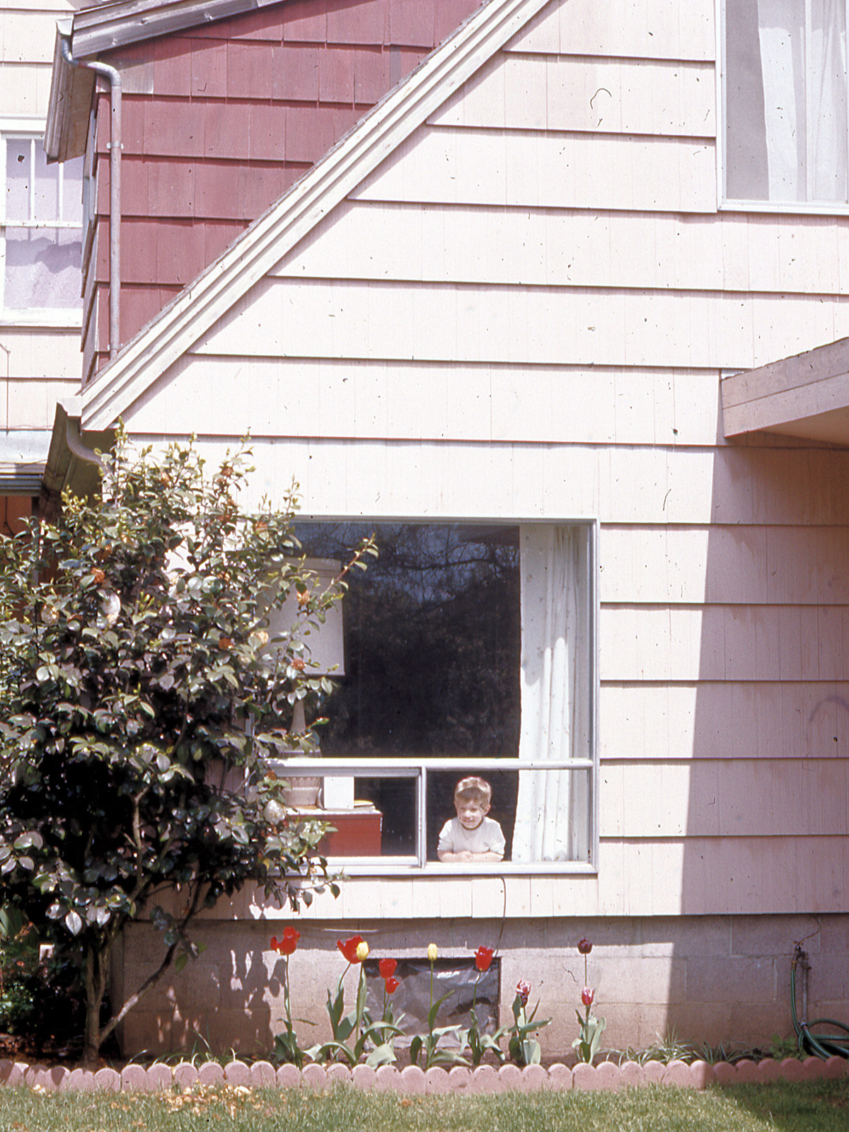 Oregon, Lane County, Eugene