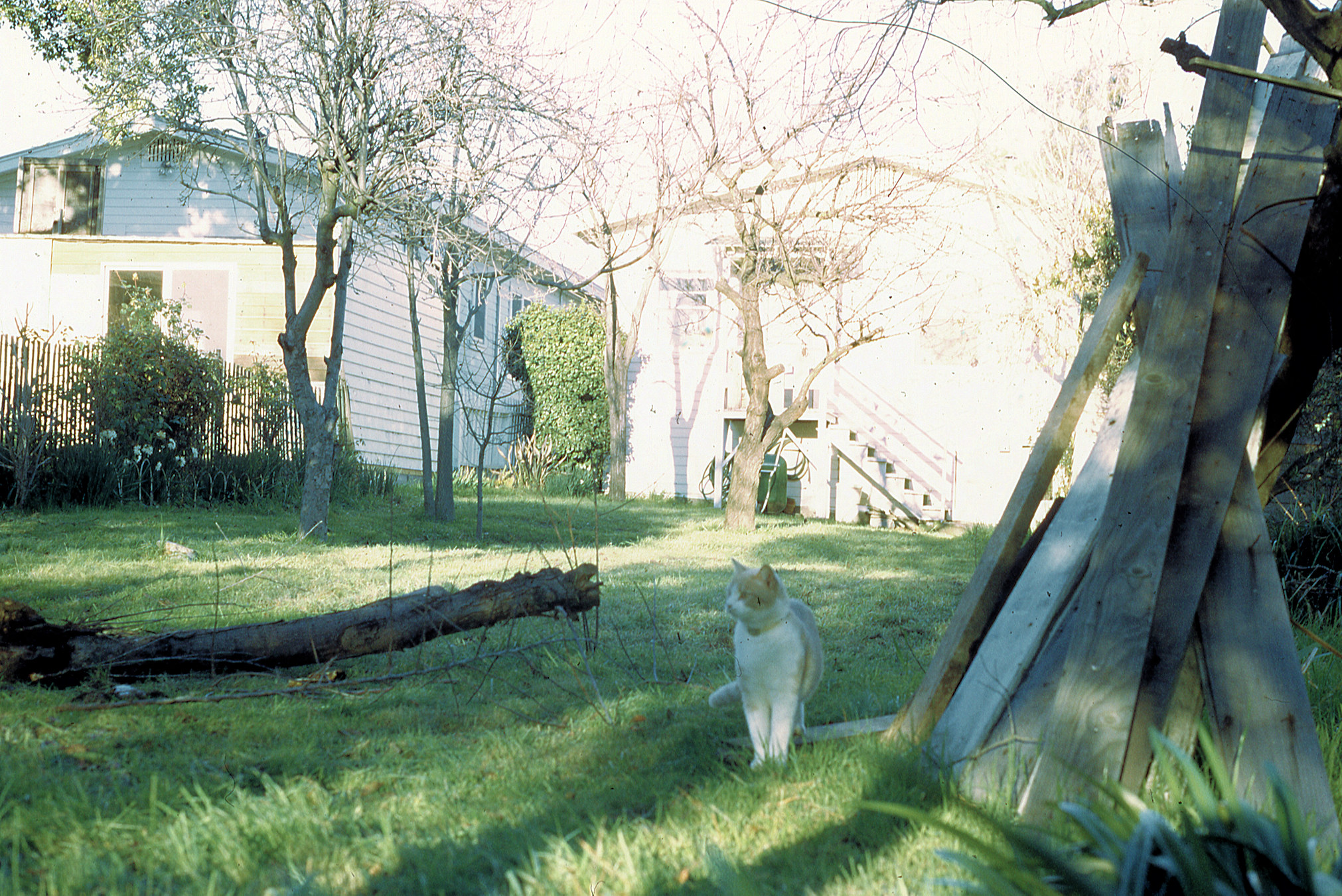 California, Alameda County, Oakland, Lyon Avenue