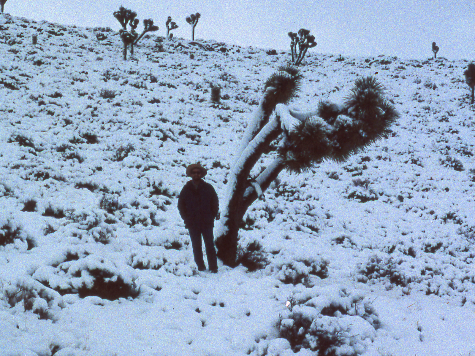 California, Inyo County, Nelson Range