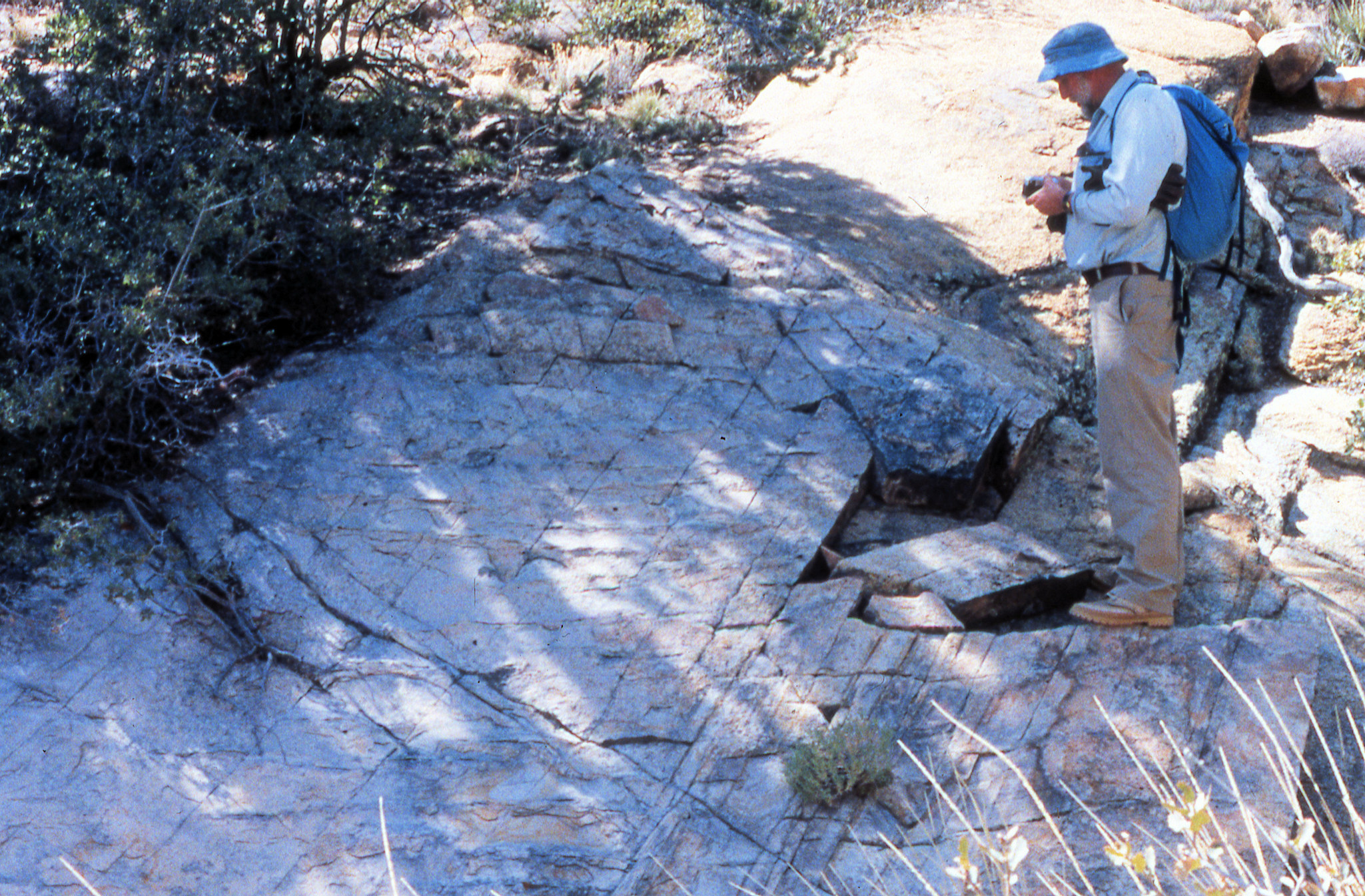 California, San Bernardino County, Caruthers Canyon