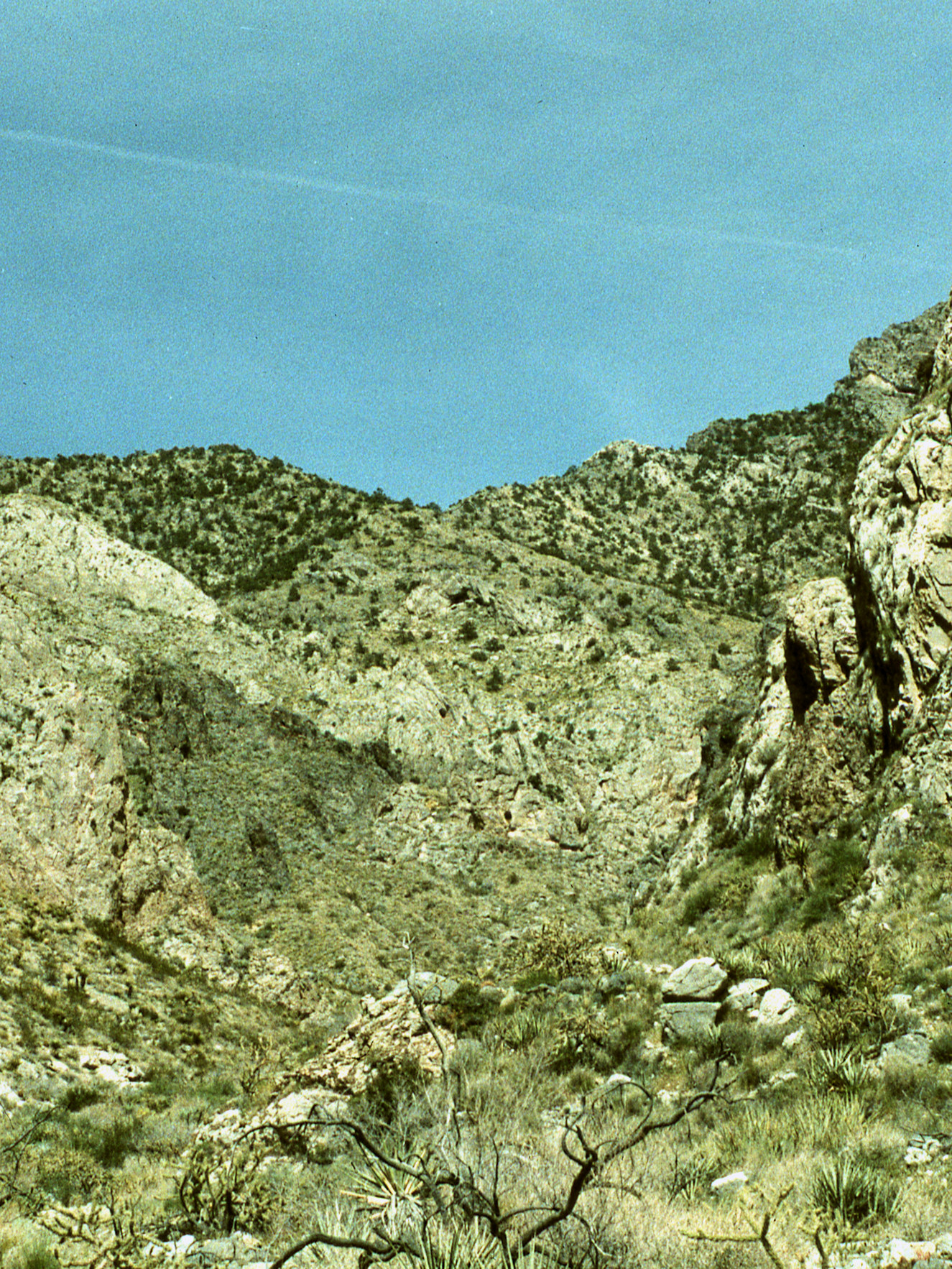 California, San Bernardino County, Bonanza King Canyon