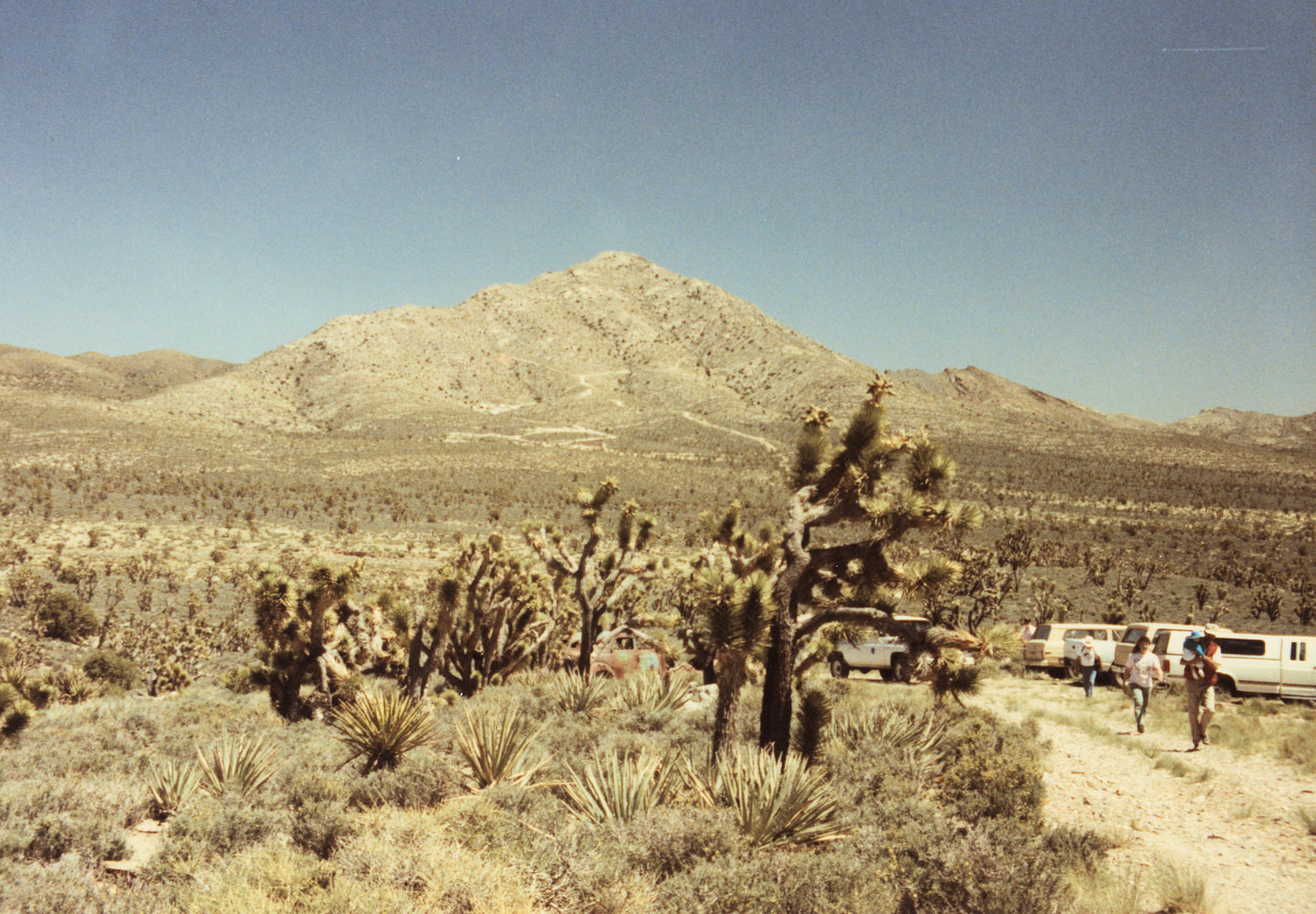 California, San Bernardino County, Piute Valley