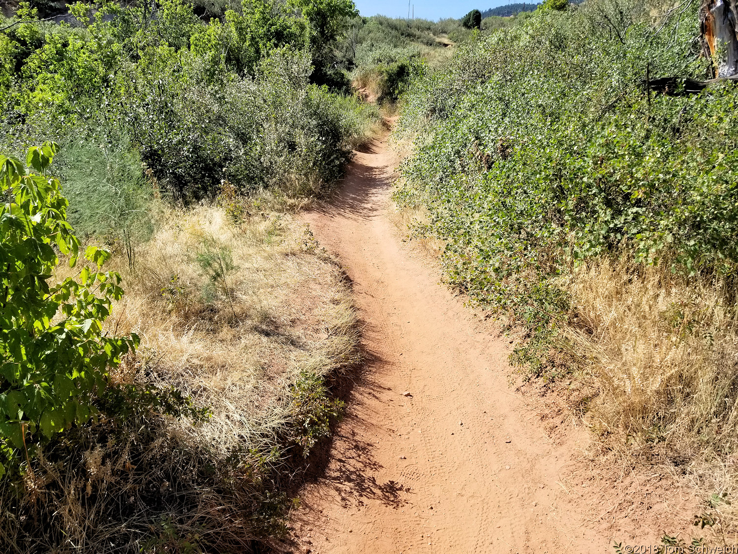 Colorado, Jefferson County, Lookout Mountain, Chimney Gulch Trail.