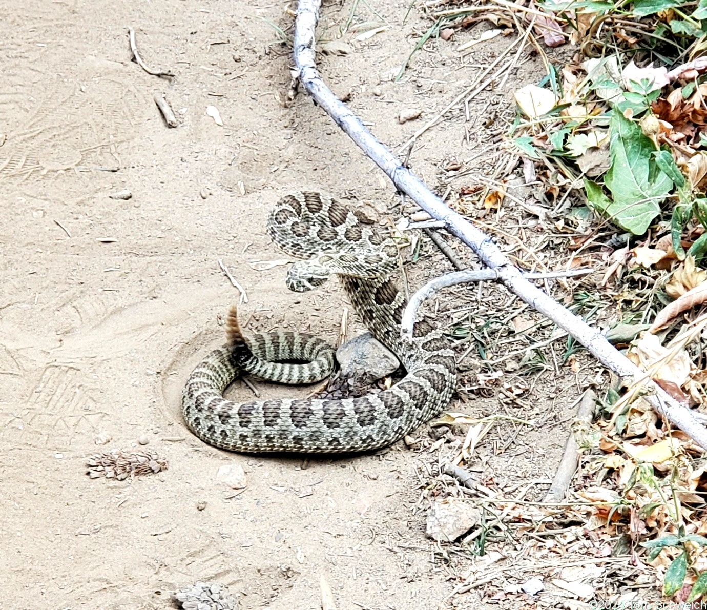 Colorado, Jefferson County, Clear Creek Canyon Park