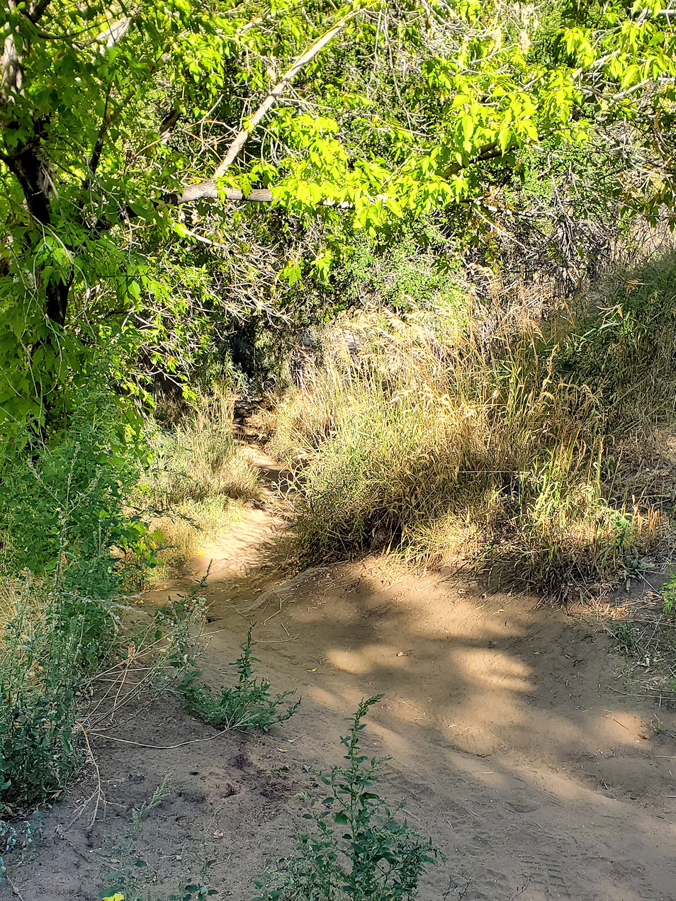 Tucker Gulch Trail, City of Golden, Jefferson County, Colorado