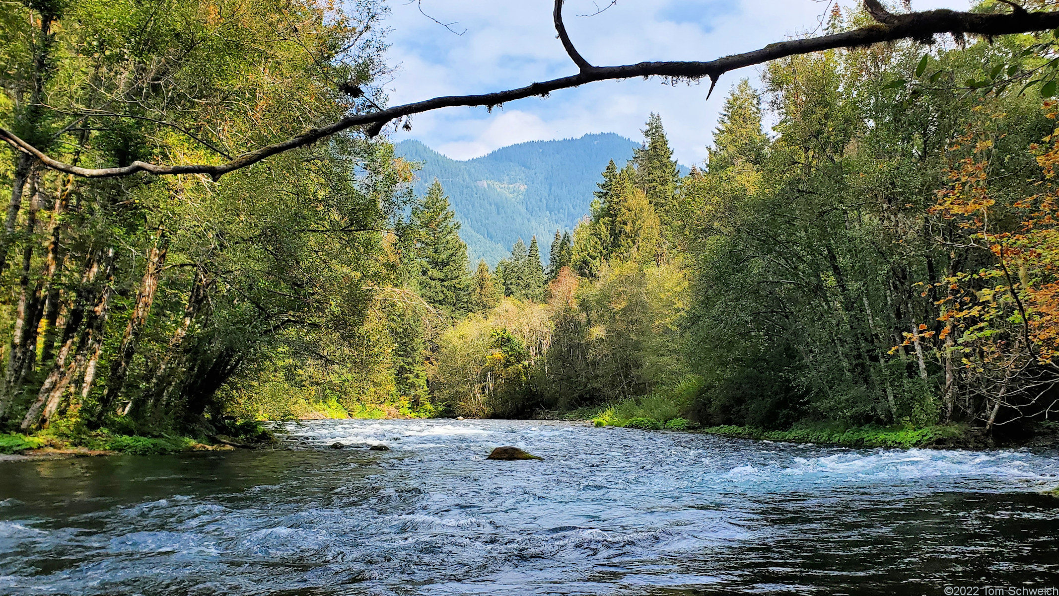 Oregon, Lane County, McKenzie River