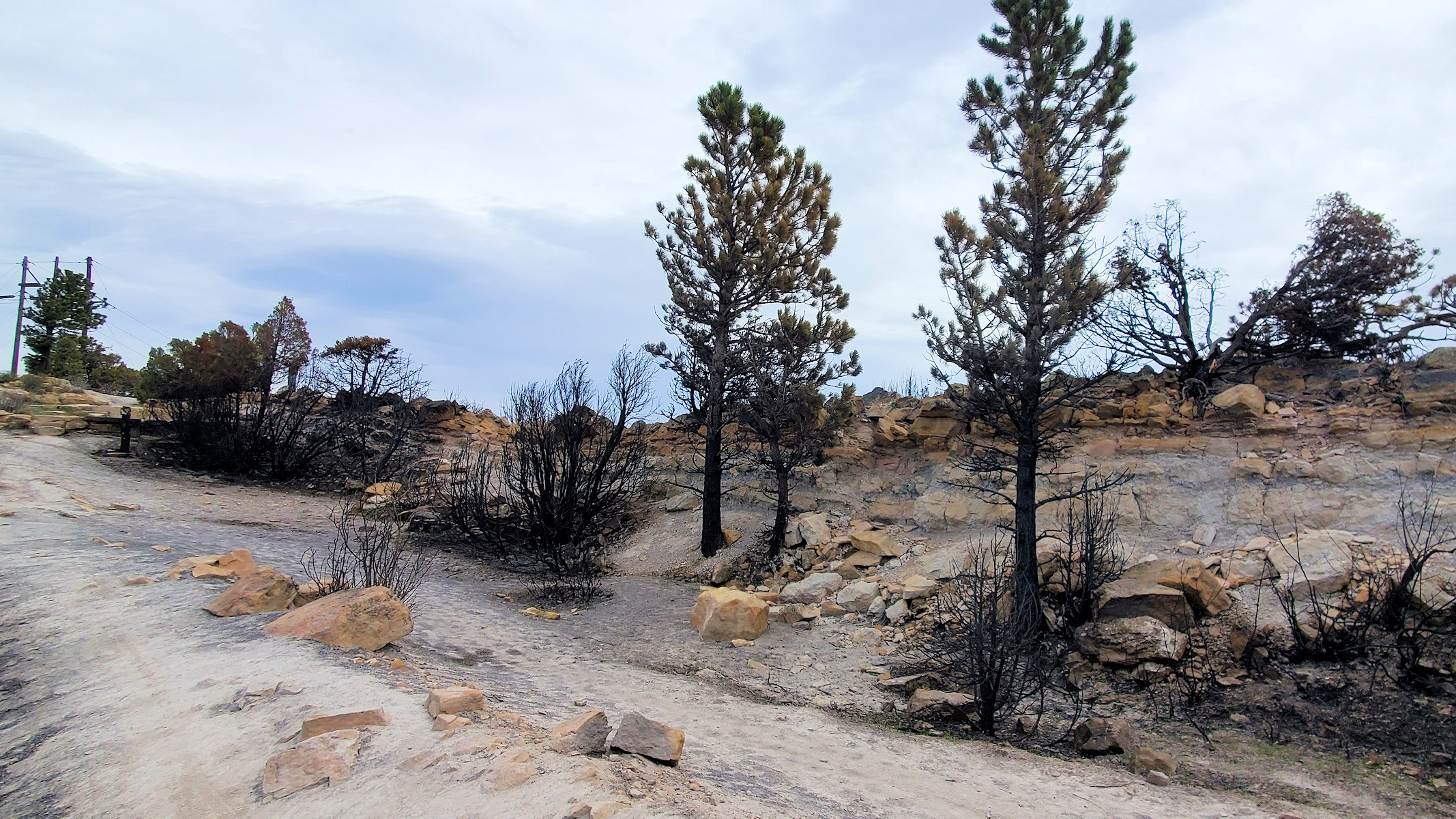 Colorado, Jefferson County, Dinosaur Ridge, Hogback Fire