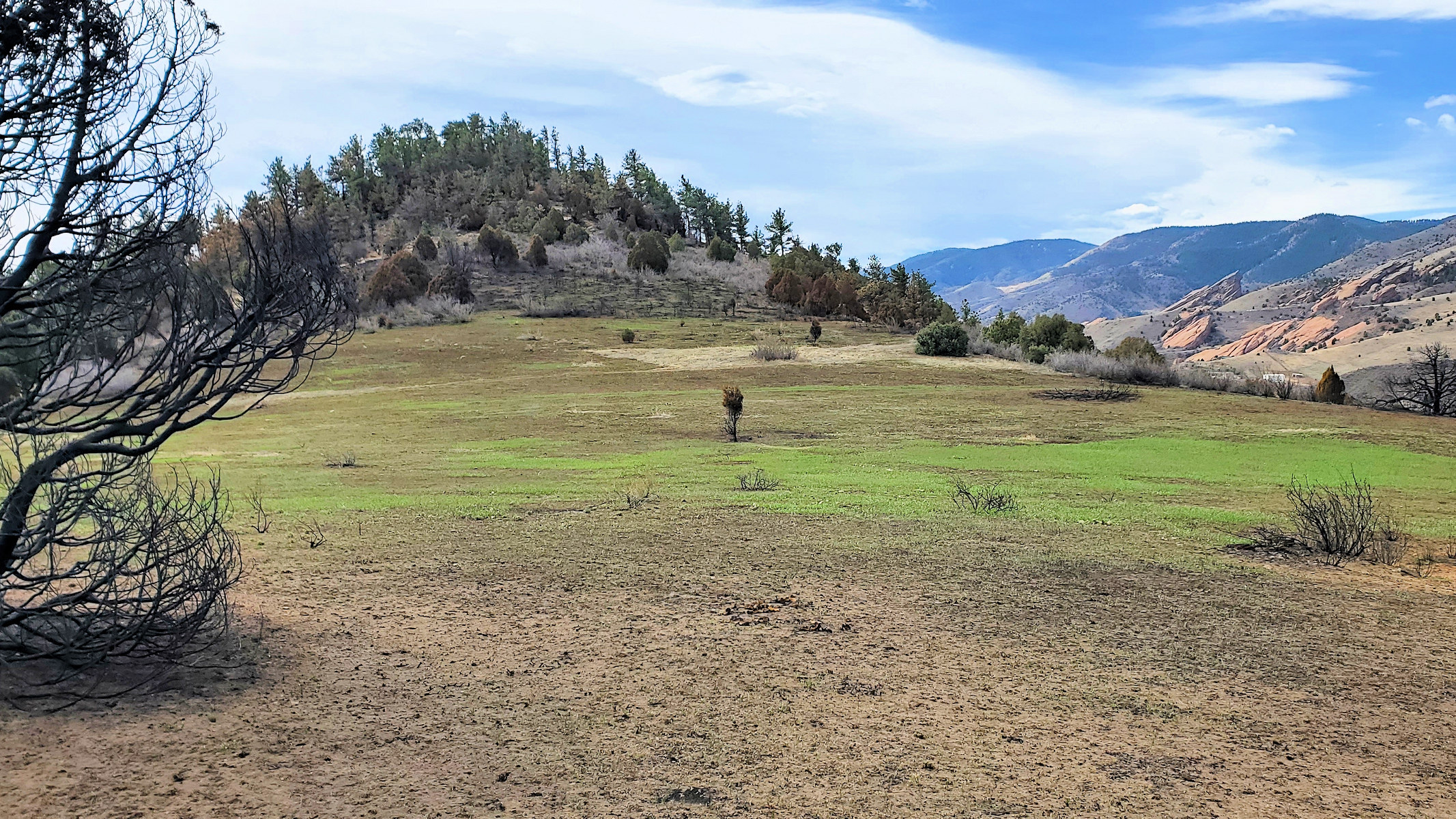 Dinosaur Ridge