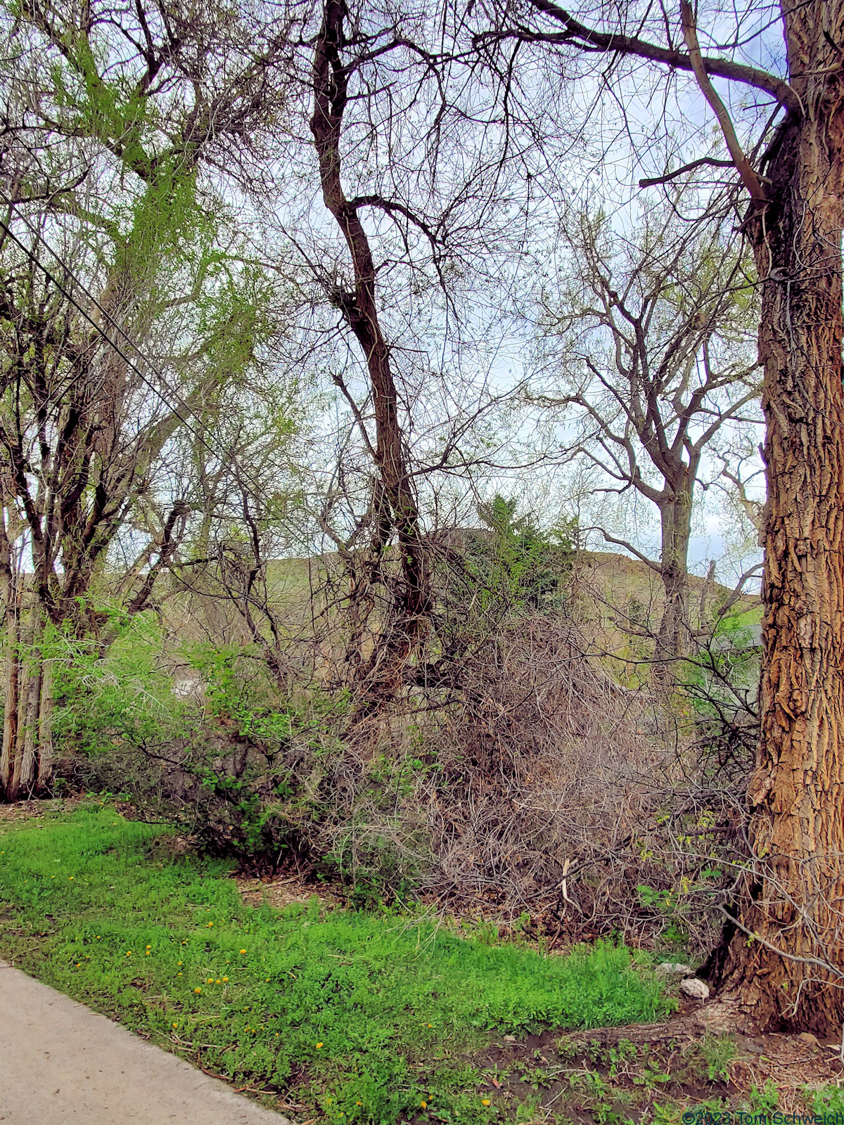 Colorado, Jefferson County, Golden, Tucker Gulch