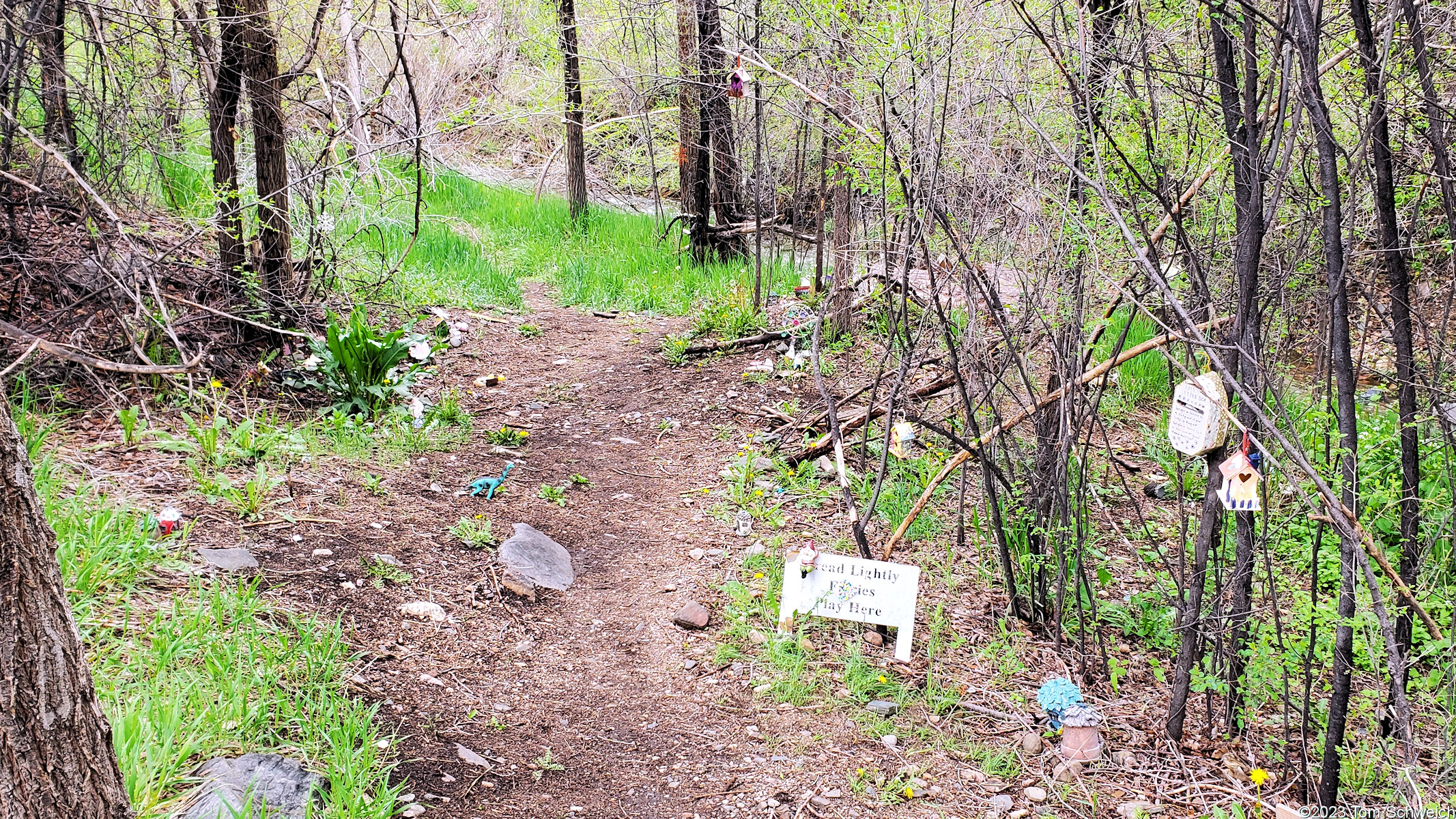 Colorado, Jefferson County, Golden, Tucker Gulch