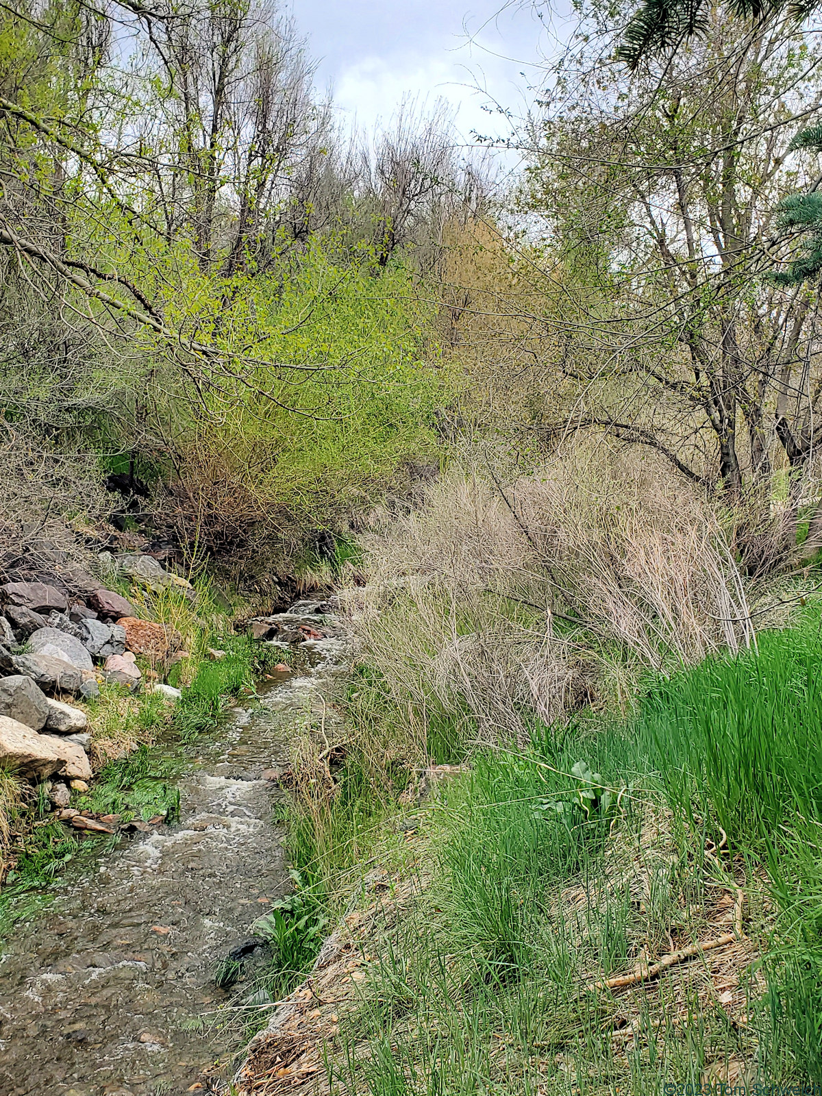 Colorado, Jefferson County, Golden, Tucker Gulch