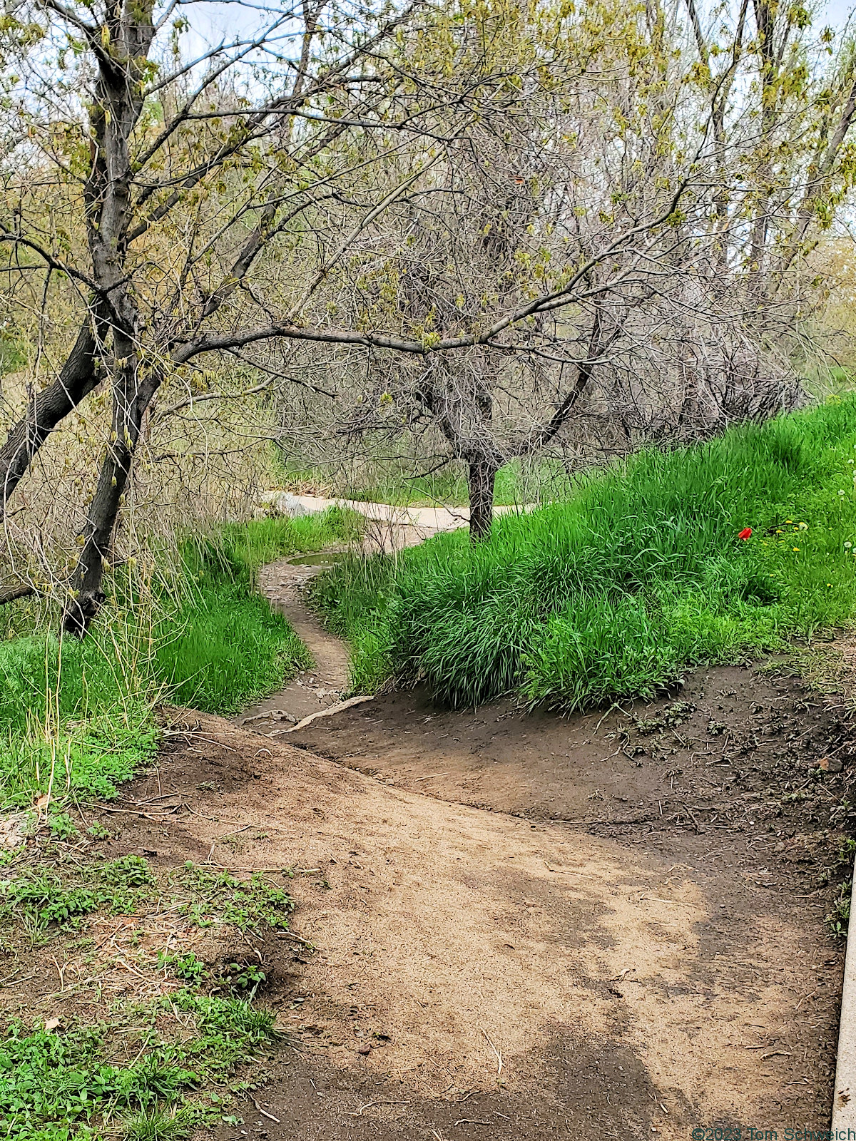 Colorado, Jefferson County, Golden, Tucker Gulch