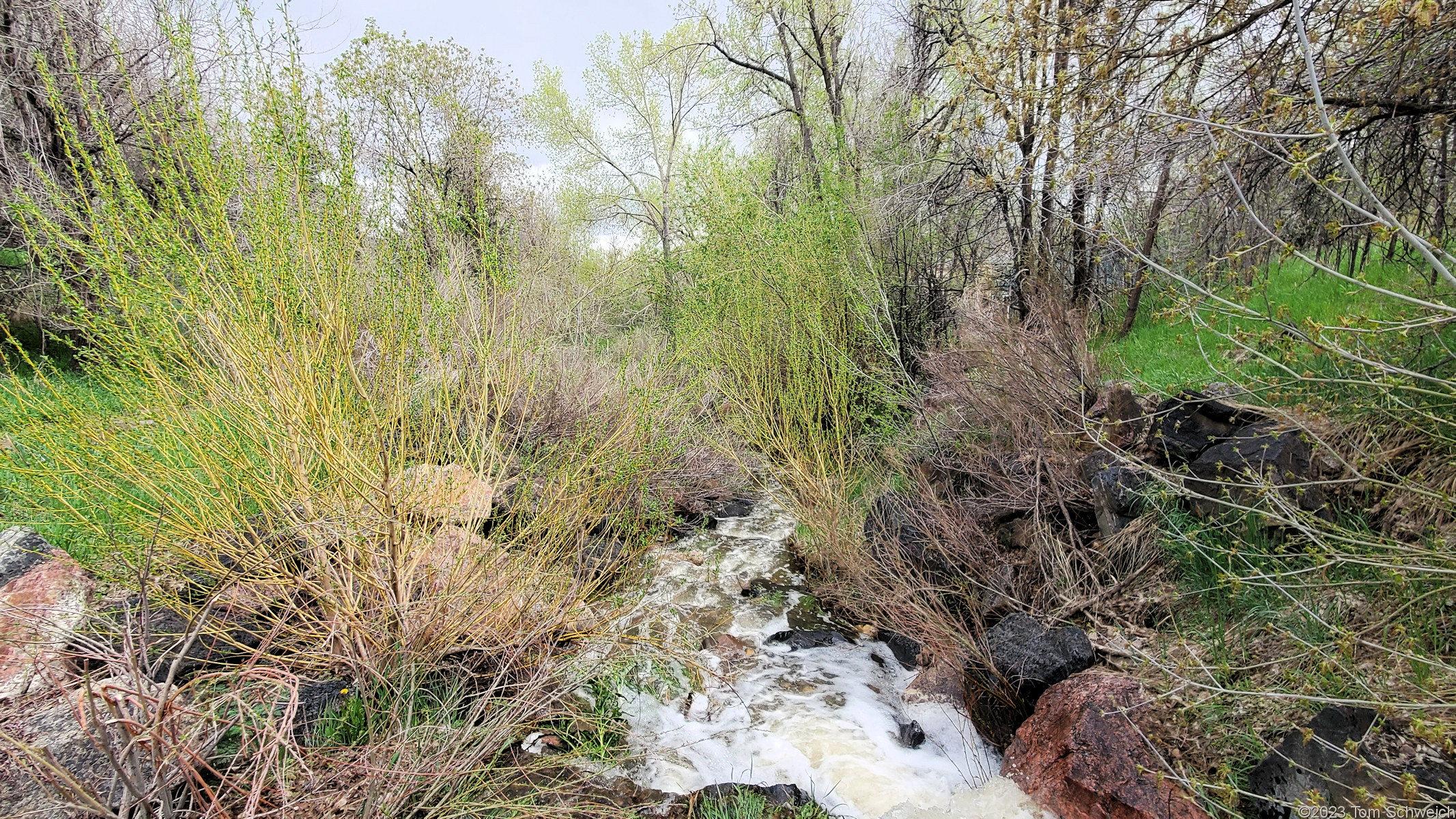 Colorado, Jefferson County, Golden, Tucker Gulch