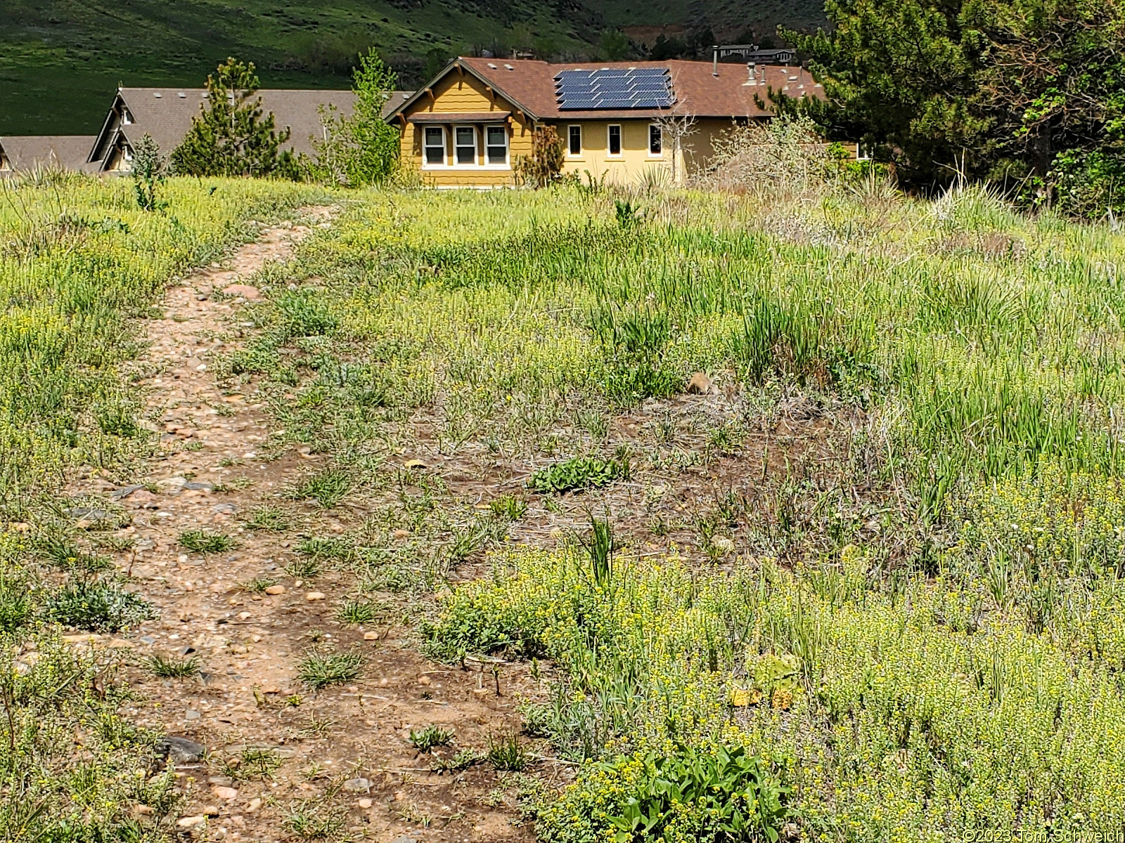 Colorado, Jefferson County, Golden, Schweich Hill