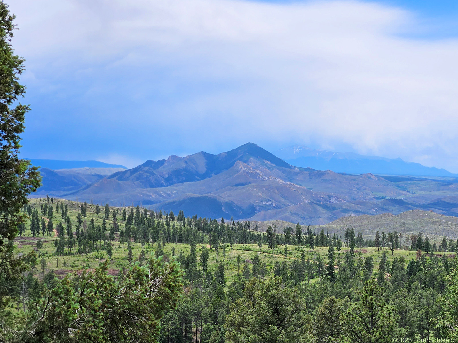 Colorado, Jefferson County, Buffalo Creek Recreation Area