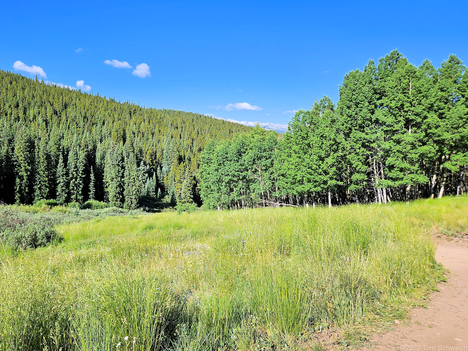 Colorado, Lake County, Forest Road 189