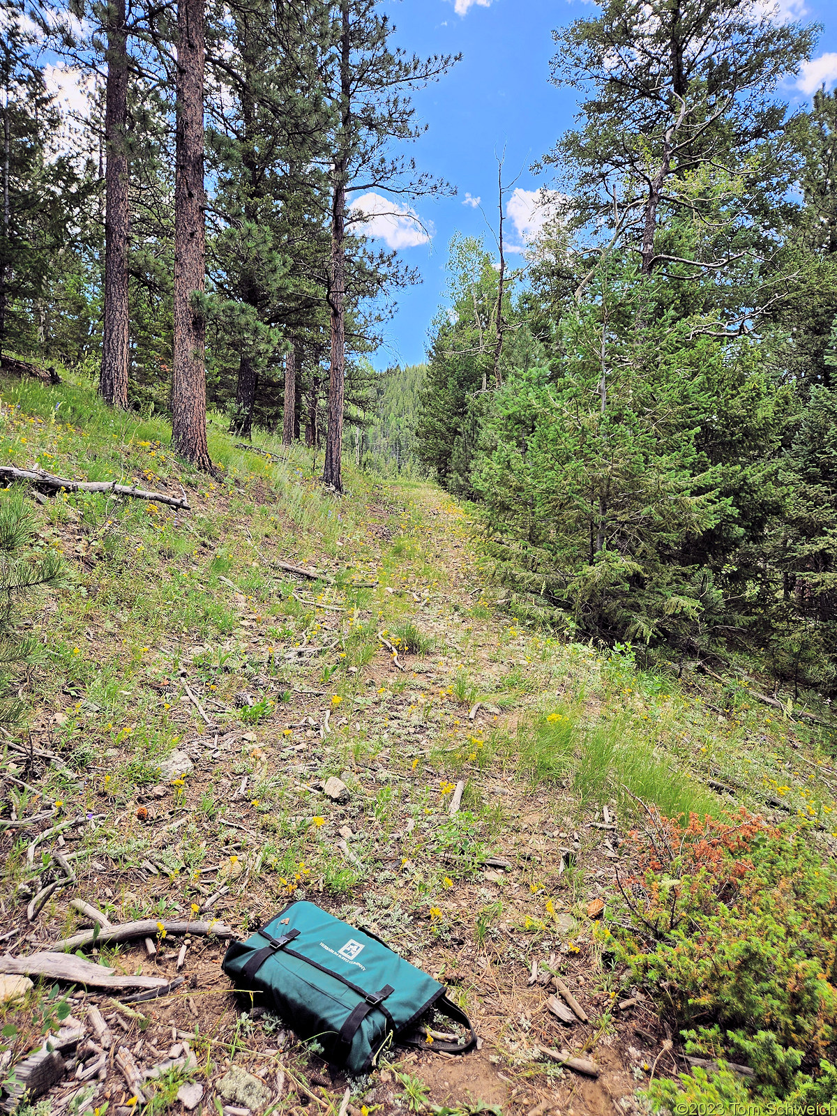 Colorado, Jefferson County, Douglas Mountain Study Area