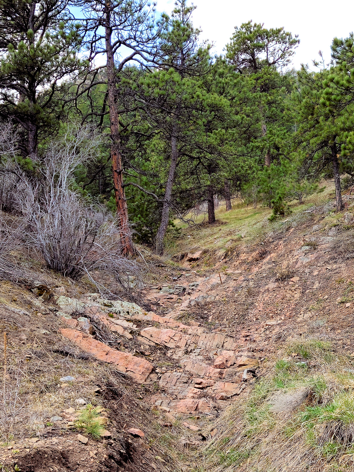 Colorado, Jefferson County, Coal Creek Canyon