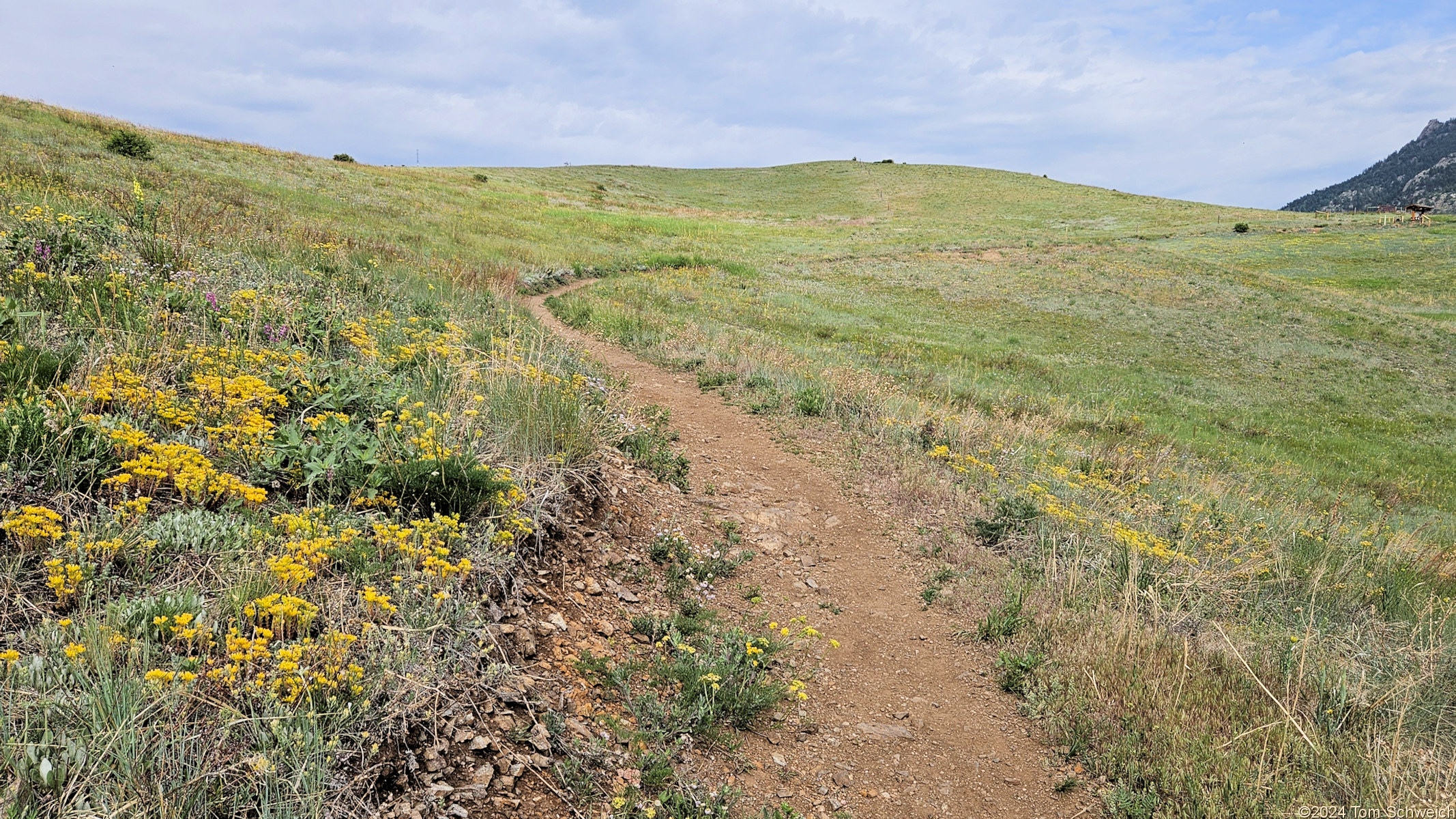 Colorado, Jefferson County, Centennial Cone Park