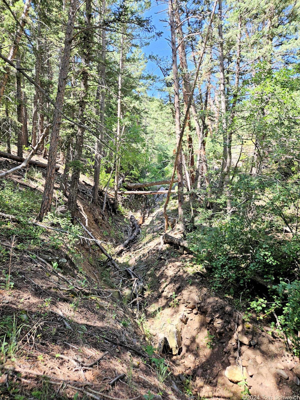 Colorado, Jefferson County, Coal Creek Canyon