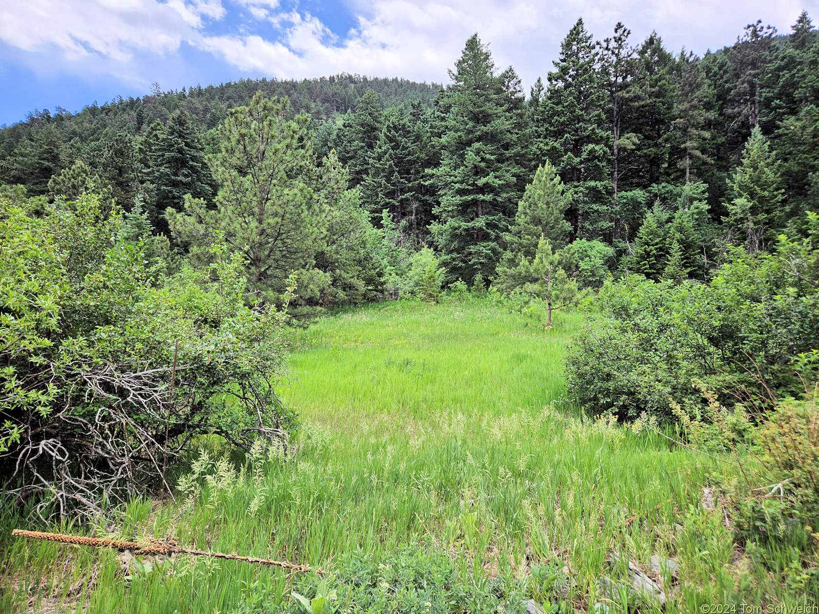 Colorado, Jefferson County, Coal Creek Canyon