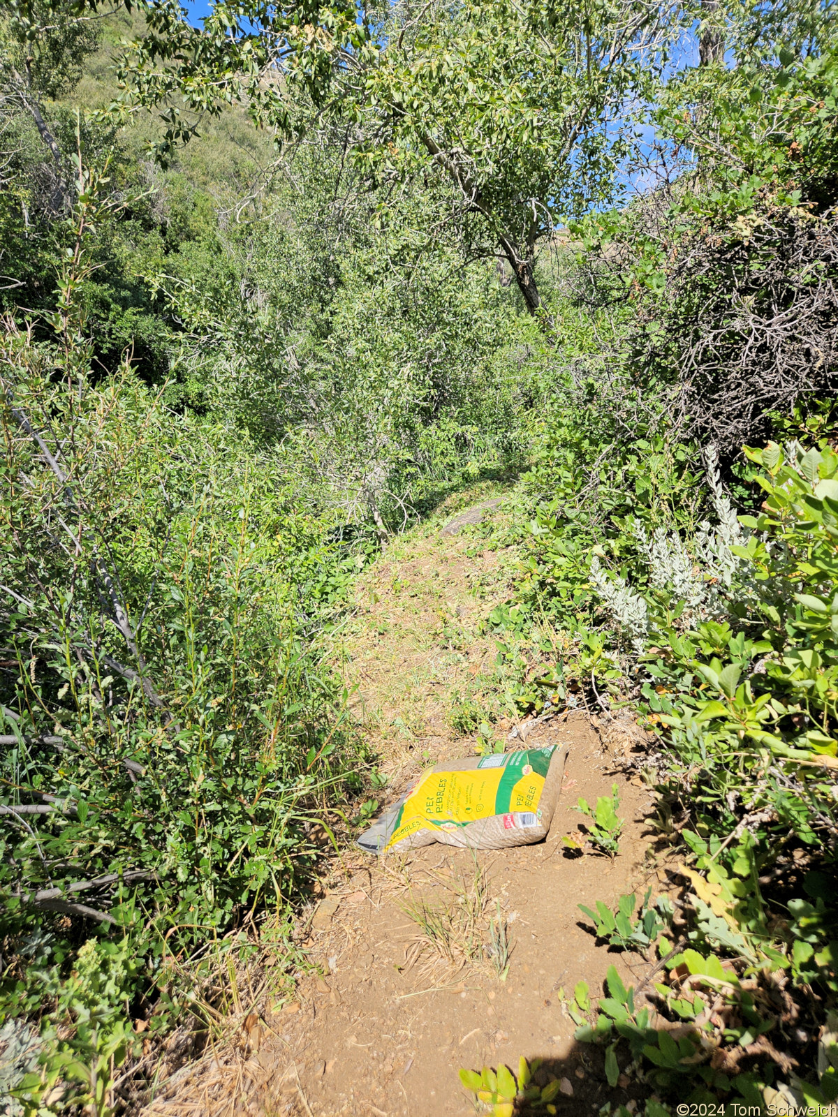 Colorado, Jefferson County, Magpie Gulch