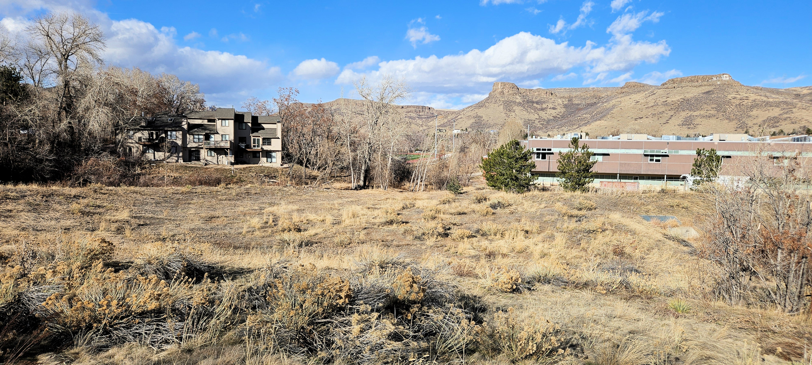 Colorado, Jefferson County, Golden, Cottonwood Natural Area