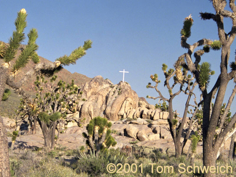 Cross beside Kessler Springs Road on Cima Dome.