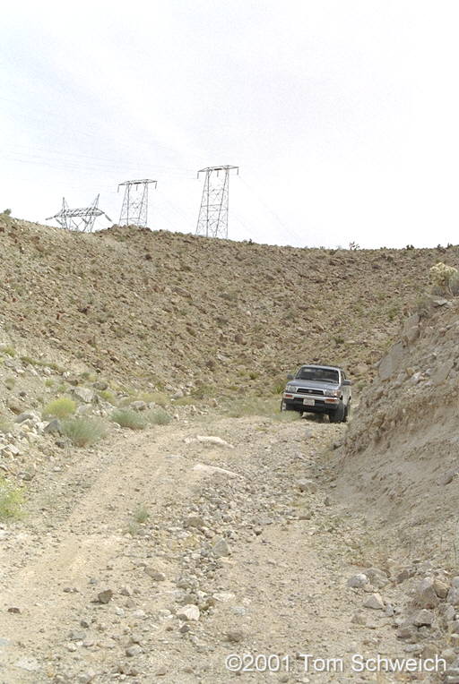 The Mojave-mobile where the Dudleya were found.