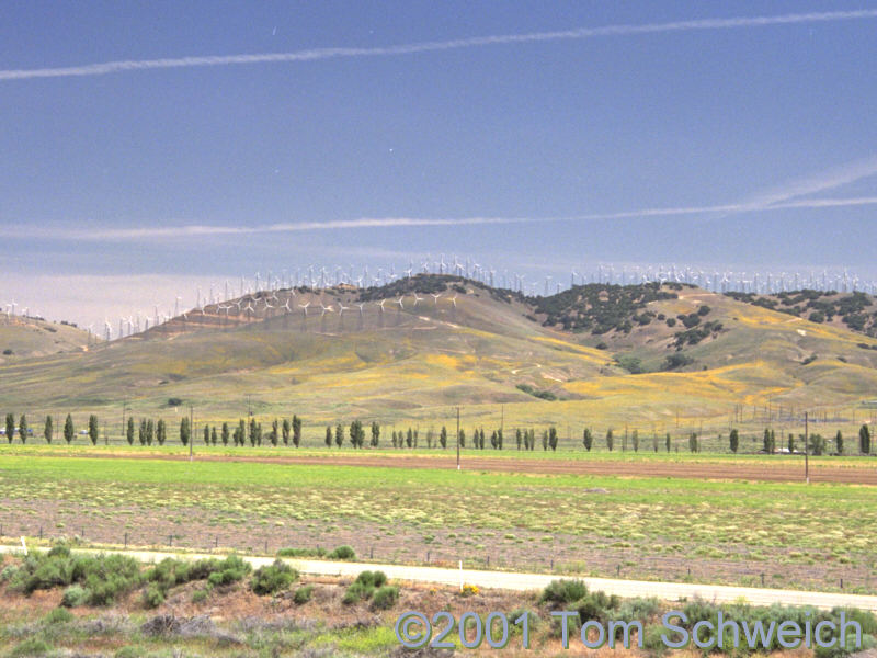 Tehachapi Valley and its Windmills.