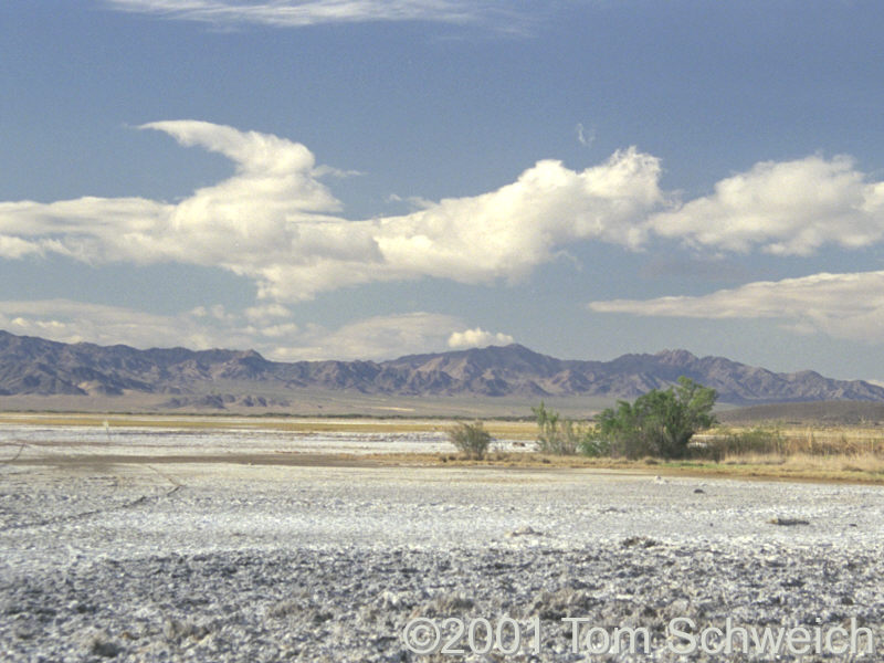 Soda Lake, looking south from Soda Springs.