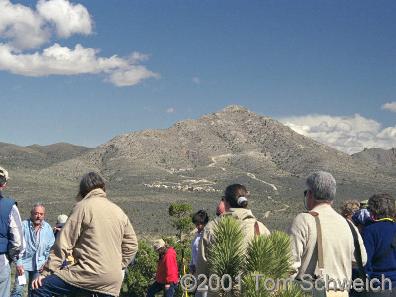 Kokoweef Peak forms the backdrop for a discussion of the regional significance of the Aztec Sandstone