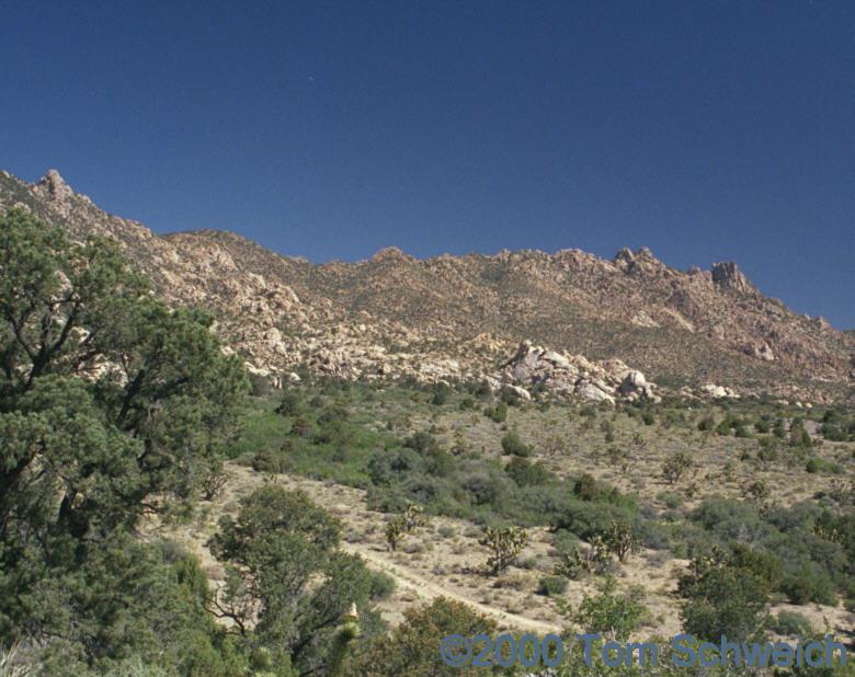 Caruthers Canyon in June, 2000.