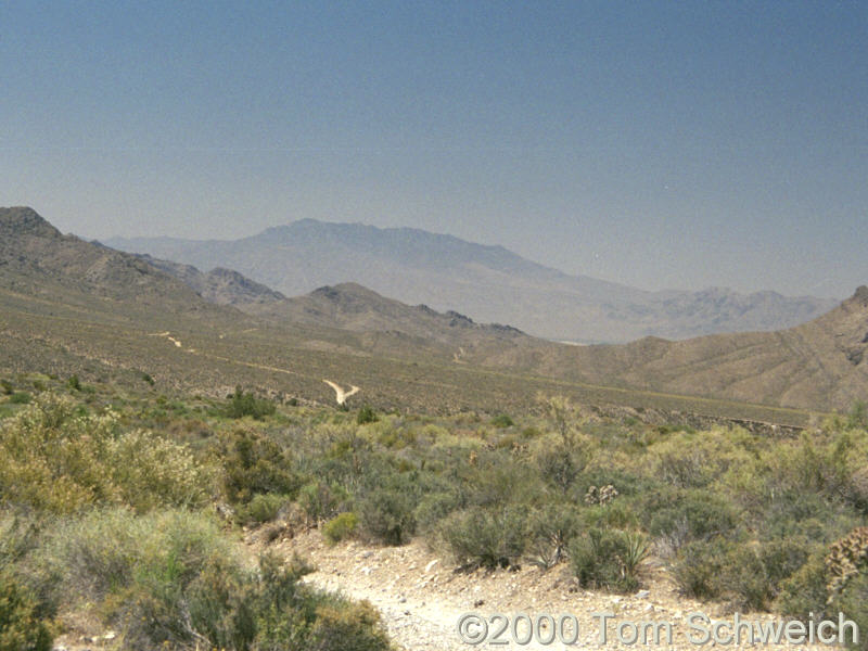 View looking south in Potosi Valley.