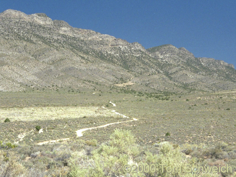 Northern Potosi Valley.