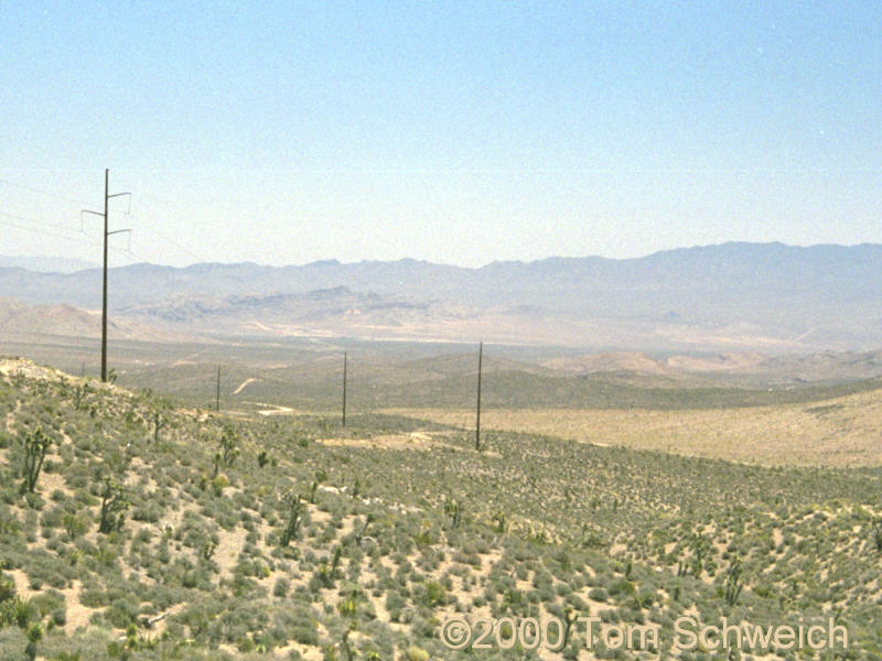 Kingston Road south of Wilson Pass.