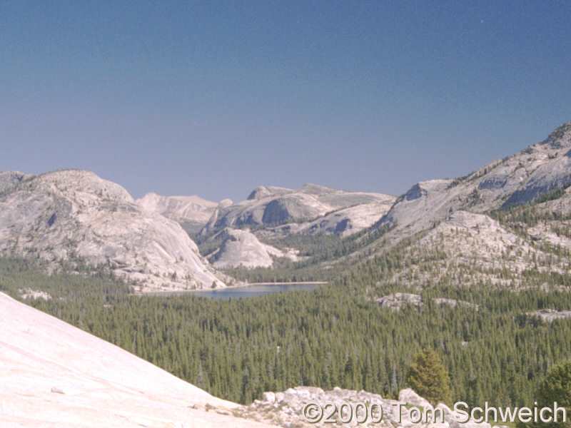 Tenaya Lake