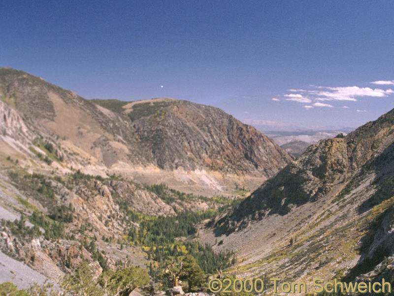 Lee Vining Canyon in October 2000.