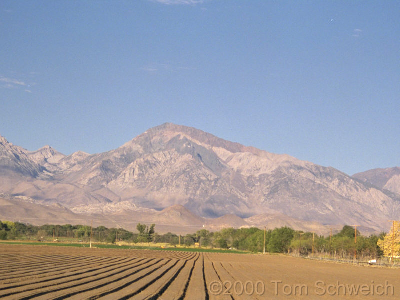 Mt. Tom, 12 miles west of Bishop, Inyuo County, California