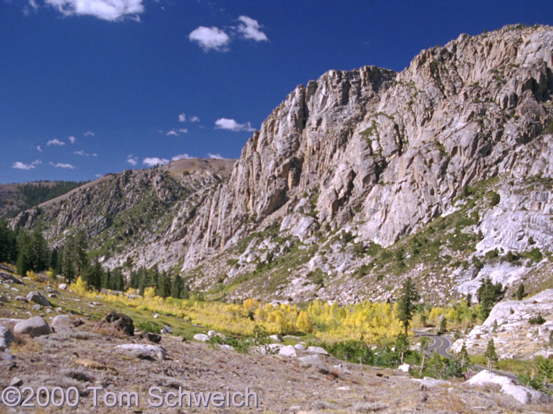 West of Sonora Pass.