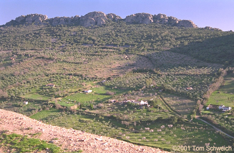 General view of a small valley south of Almaden.