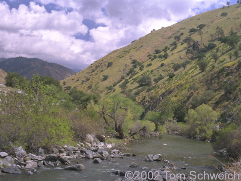 Lower Kern Canyon