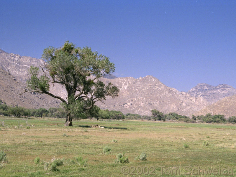 South Fork Valley