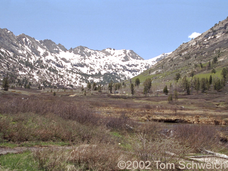 Upper reaches of Lamoille Canyon.