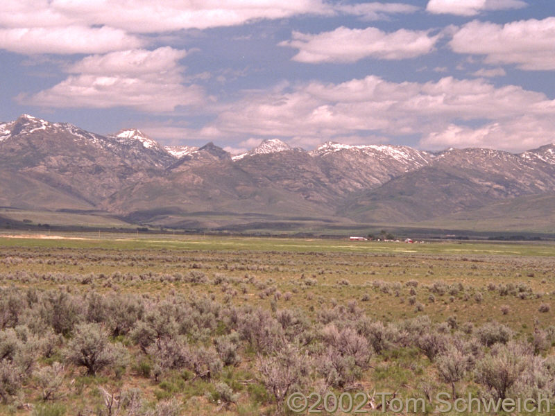 Smith Creek drainage, west side central Ruby Mountains.