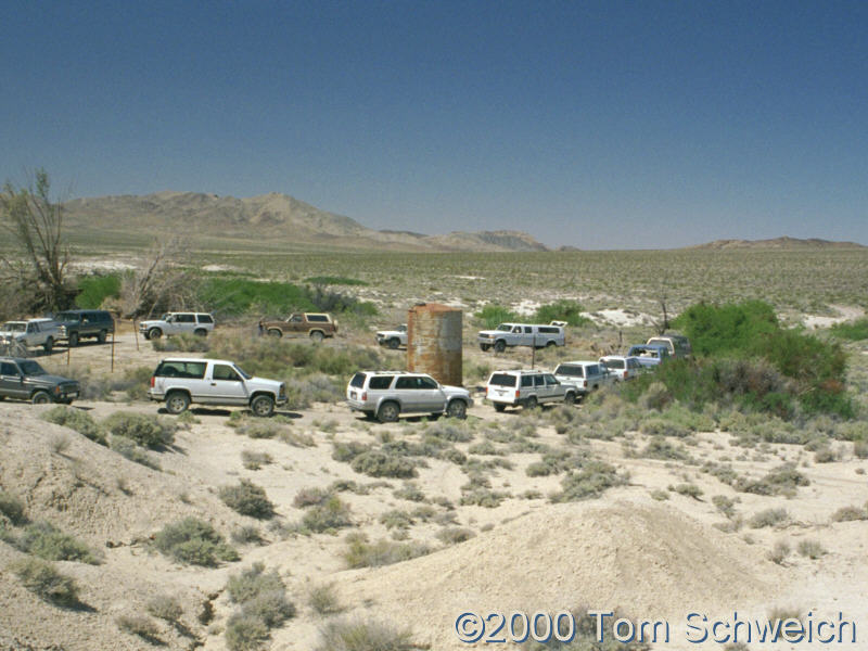 Tule Spring, Alexander Hills in background.