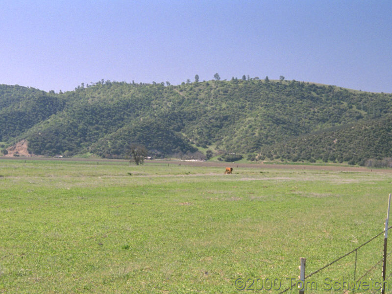 Bitterwater, San Benito County, California.