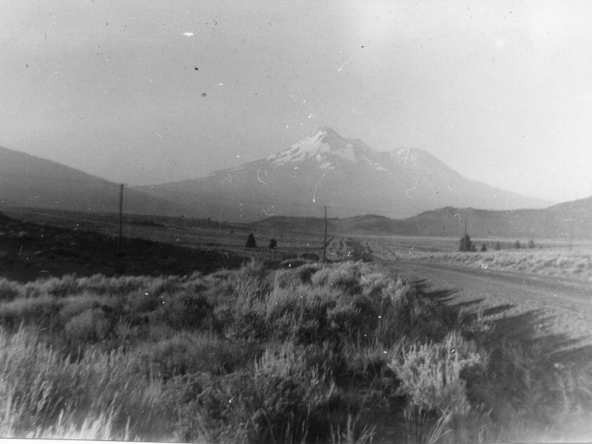 Mt. Shasta